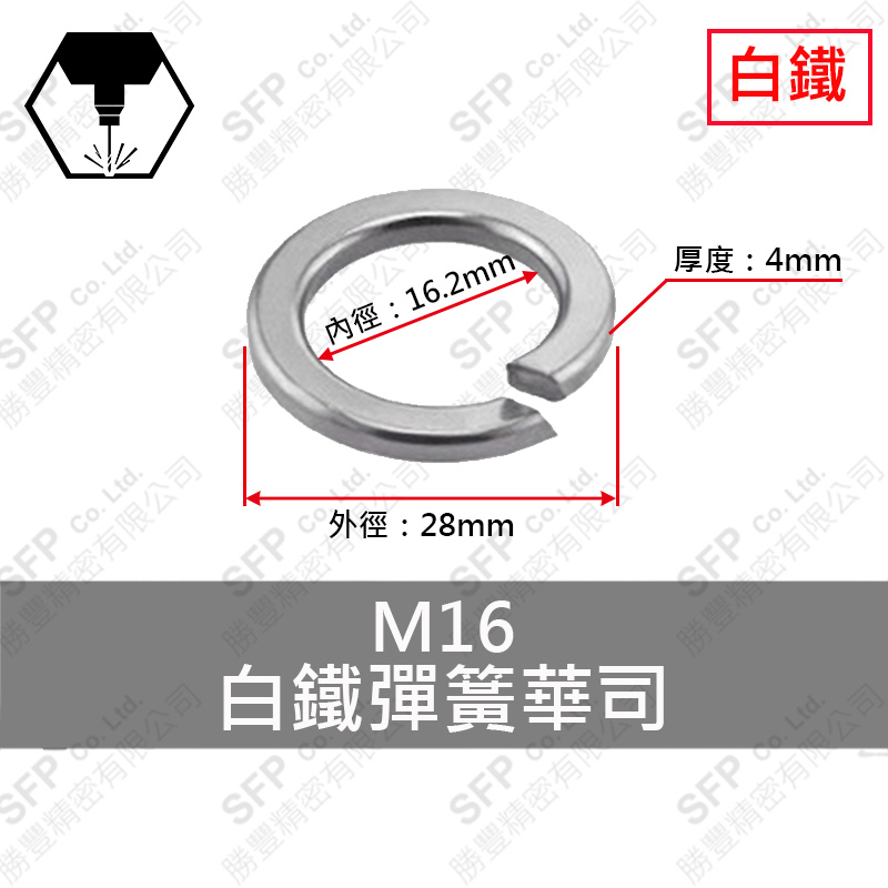 SS304 Spring Washer M16 (16.3*25.4*3.2)