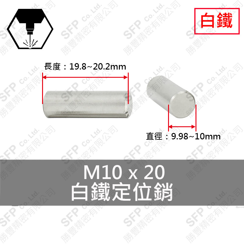 SS304 Dowel Pin 10*20