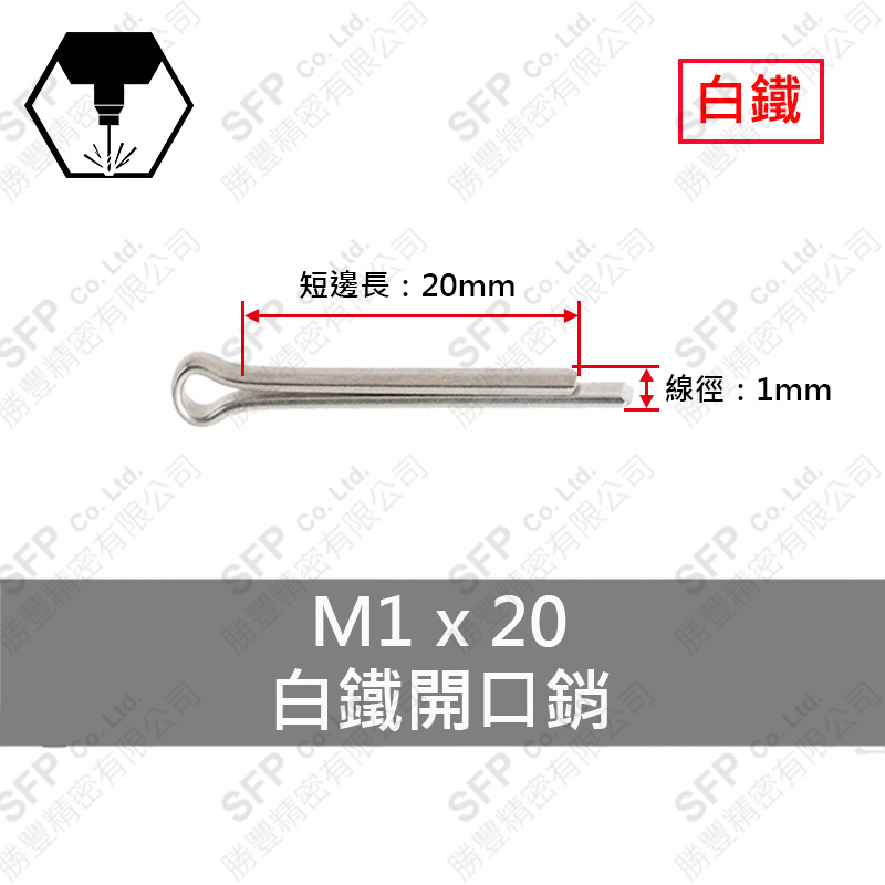 SS304 Cotter Pin 1*20