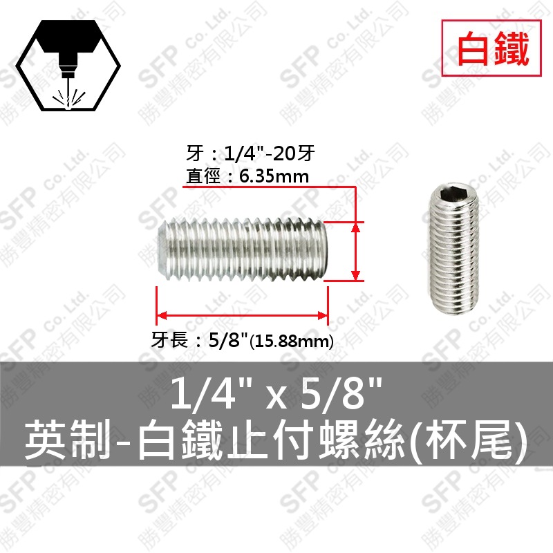 304白鐵止付螺絲(杯尾) 1/4 *5/8