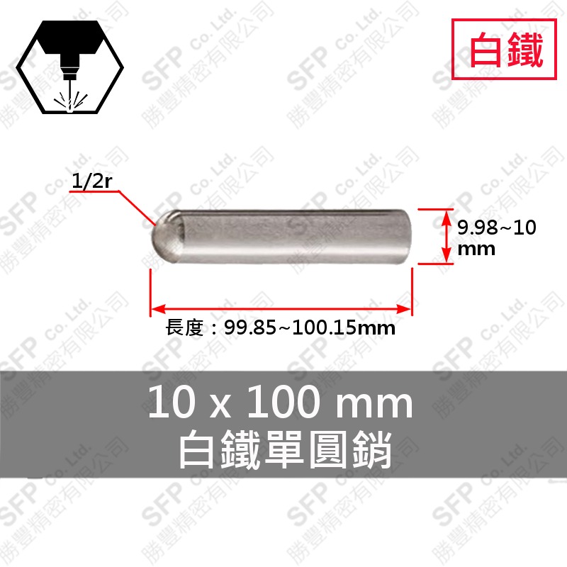 SS304 Pin 10*100
