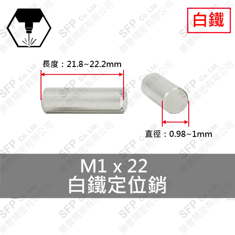 SS304 Dowel Pin 1*22