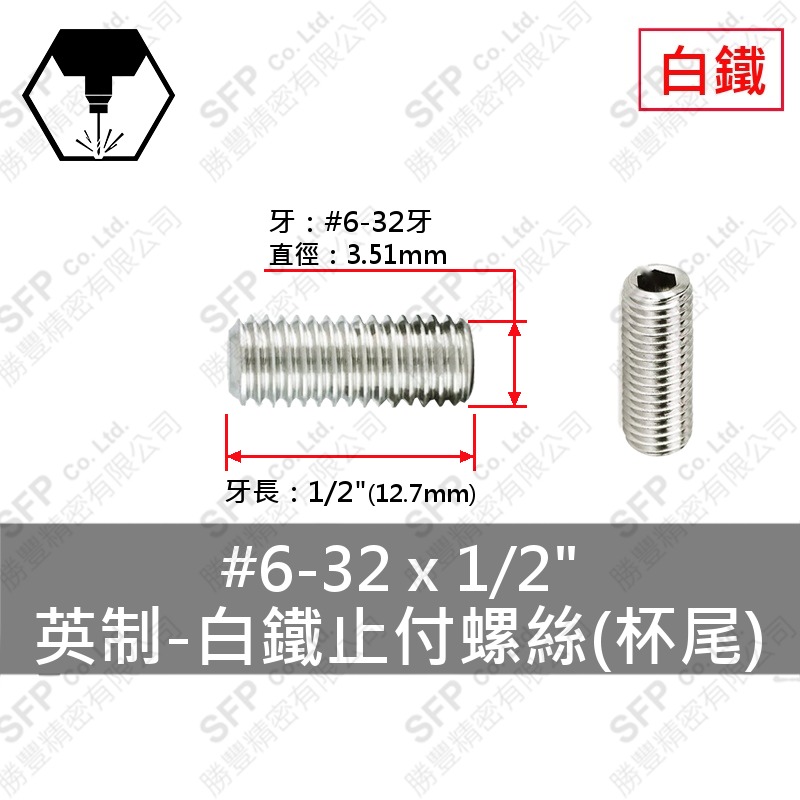 304白鐵止付螺絲(杯尾) 6#-32*1/2