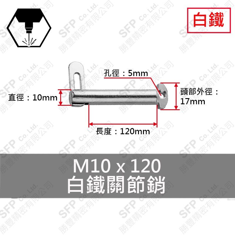 304白鐵關節銷 10*120
