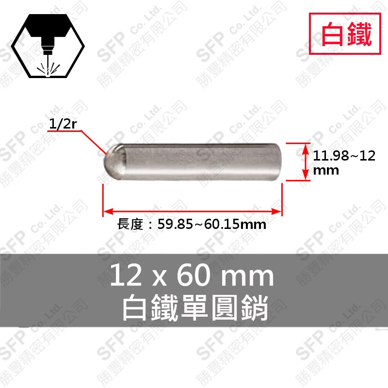 SS304 Pin 12*60