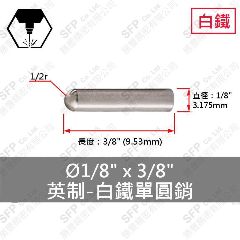 304白鐵單圓銷 1/8"*3/8" SUS304