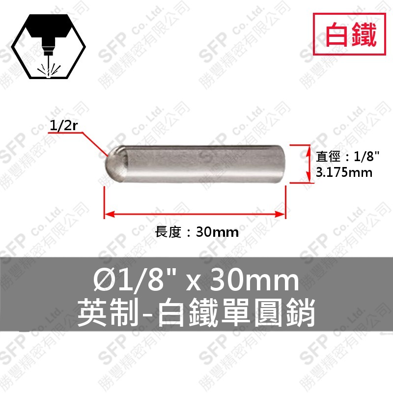 304白鐵單圓銷 1/8"*30mm (3.18*30) SUS304