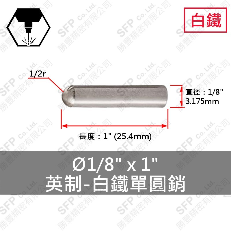 304白鐵單圓銷 1/8"*1" SUS304