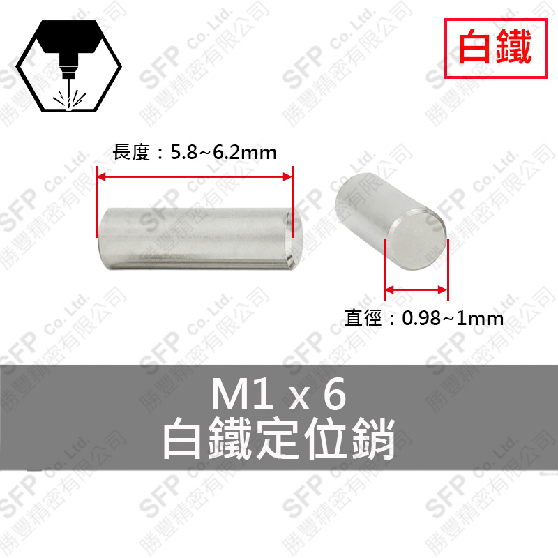 SS304 Dowel Pin 1(h8)*6