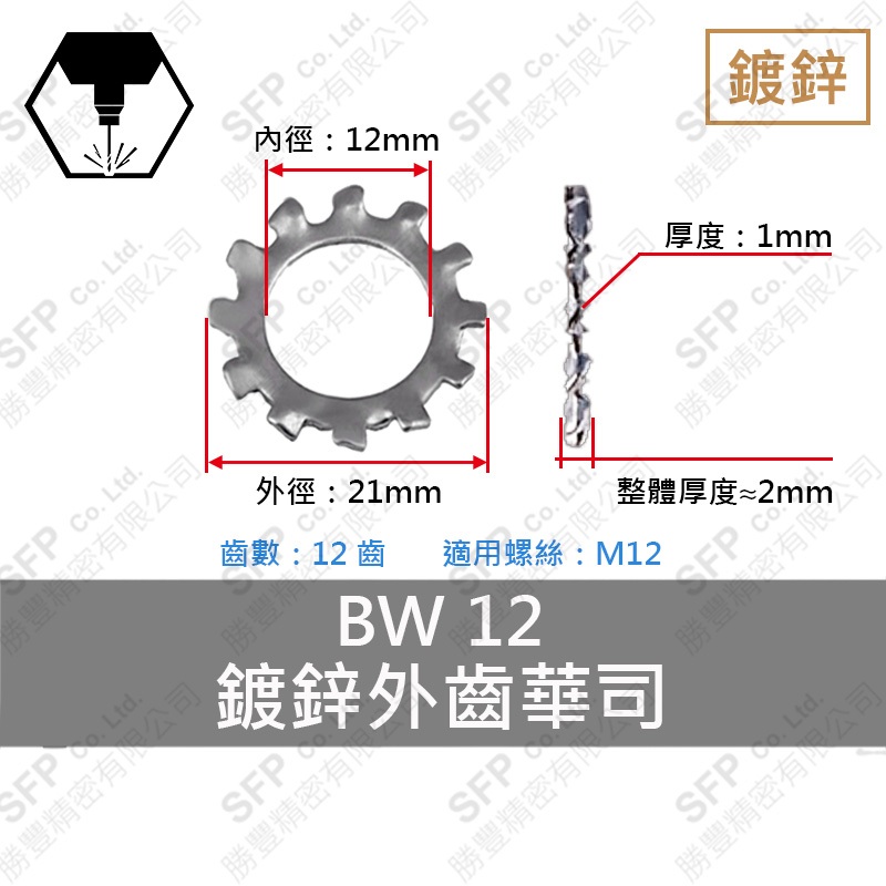 鍍鋅外齒華司 M12-12齒 (12.5*21*1)