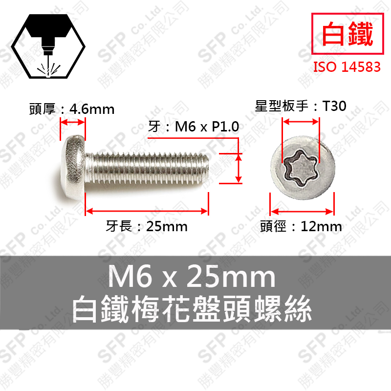304白鐵盤頭梅花螺絲 M6*25