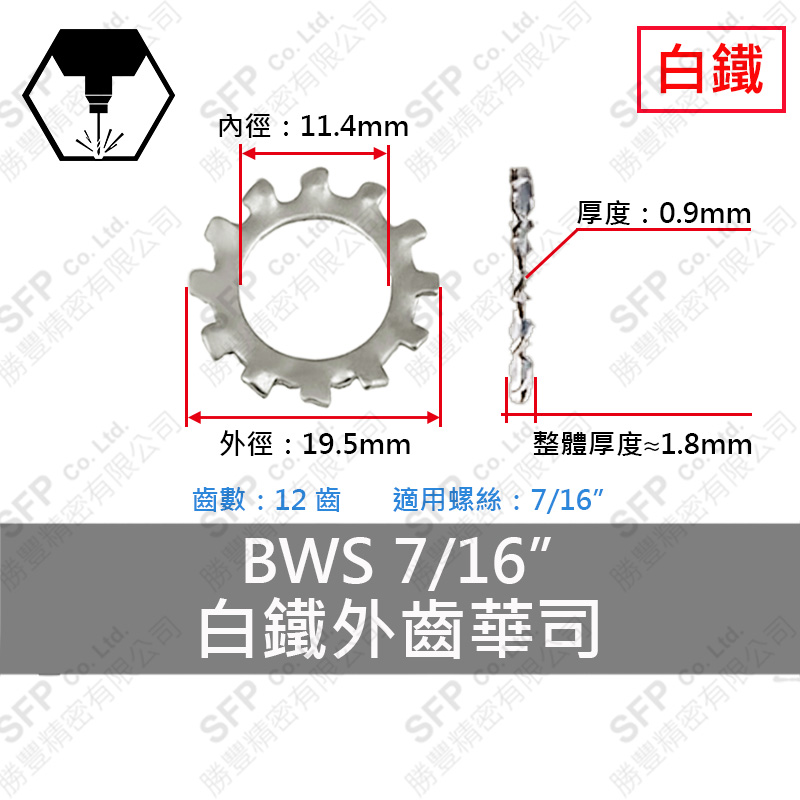 304白鐵外齒華司 BWS-7/16 (11.4*19.5*0.9t)