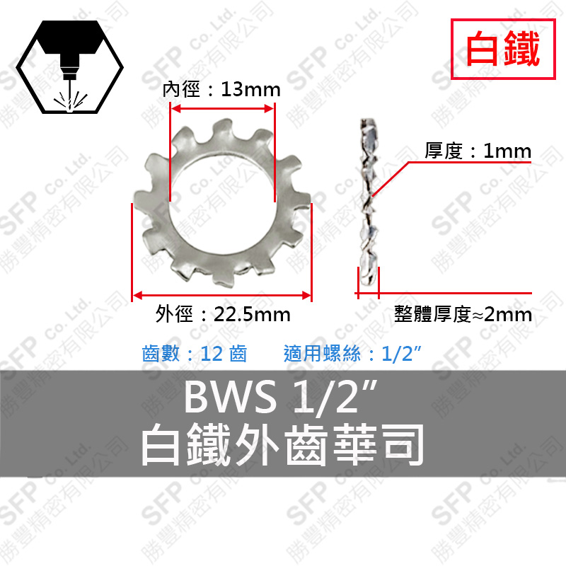 304白鐵外齒華司 BWS-1/2 (13*22.5*1t)