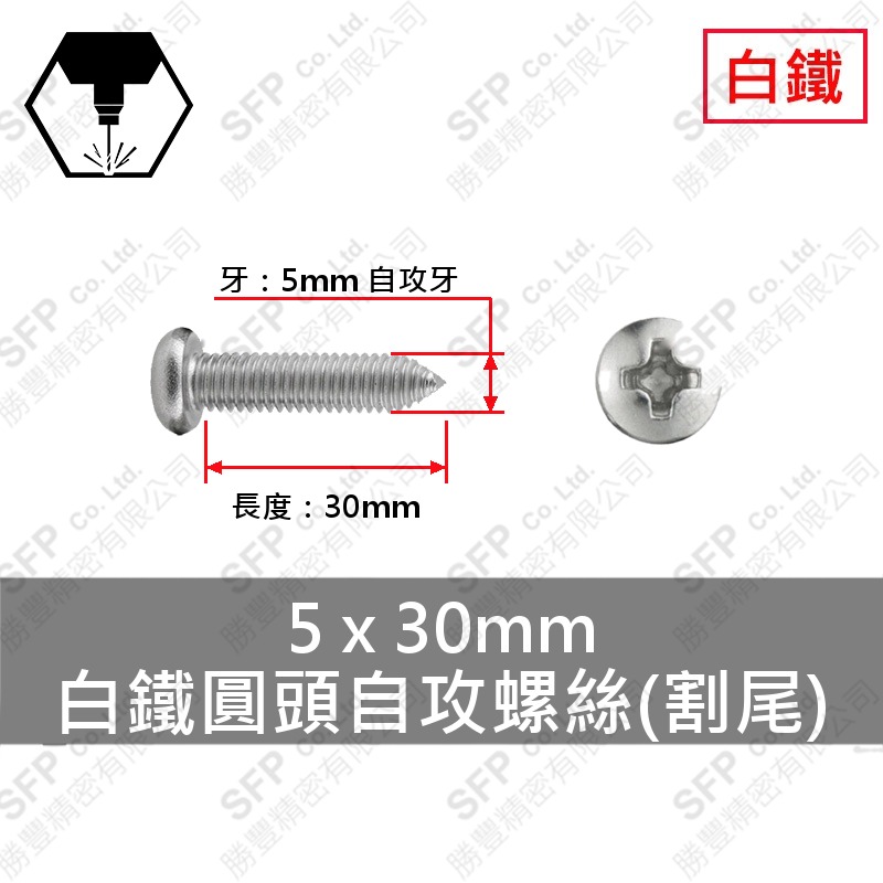 304白鐵圓頭自攻螺絲(割尾) 5*30 SUS304