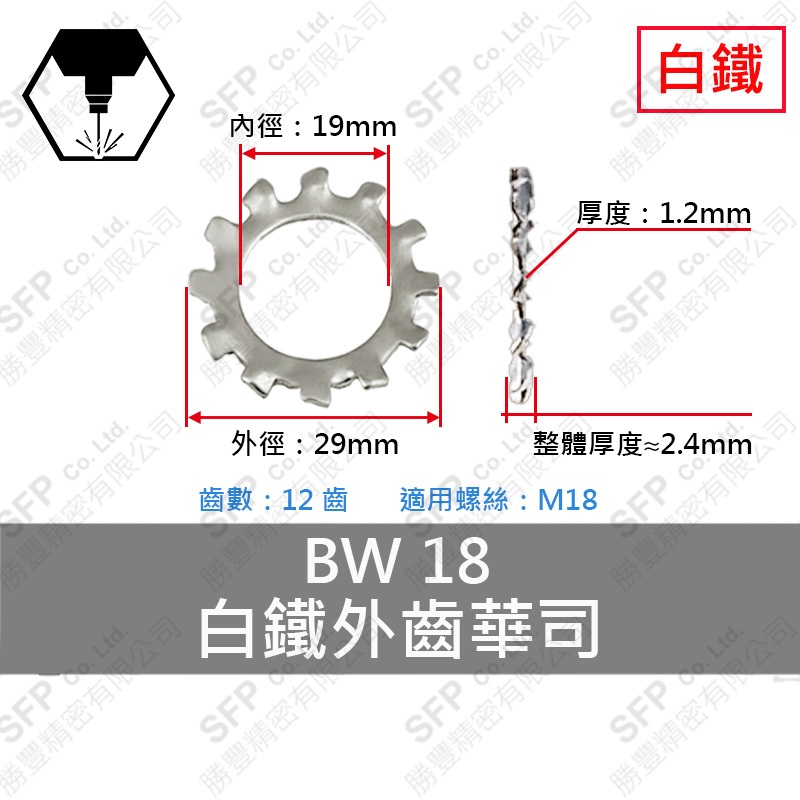304白鐵外齒華司 BWS-18 (19*29*1.2)-12齒
