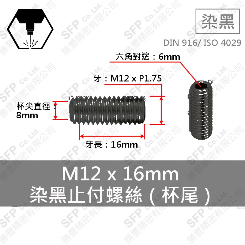 Alloy Steel Set Screw (Cup Point) M12*16