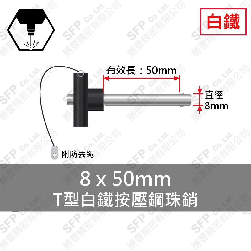 T型白鐵 按壓 鋼珠銷(附繩) 8*50 (有效長50)