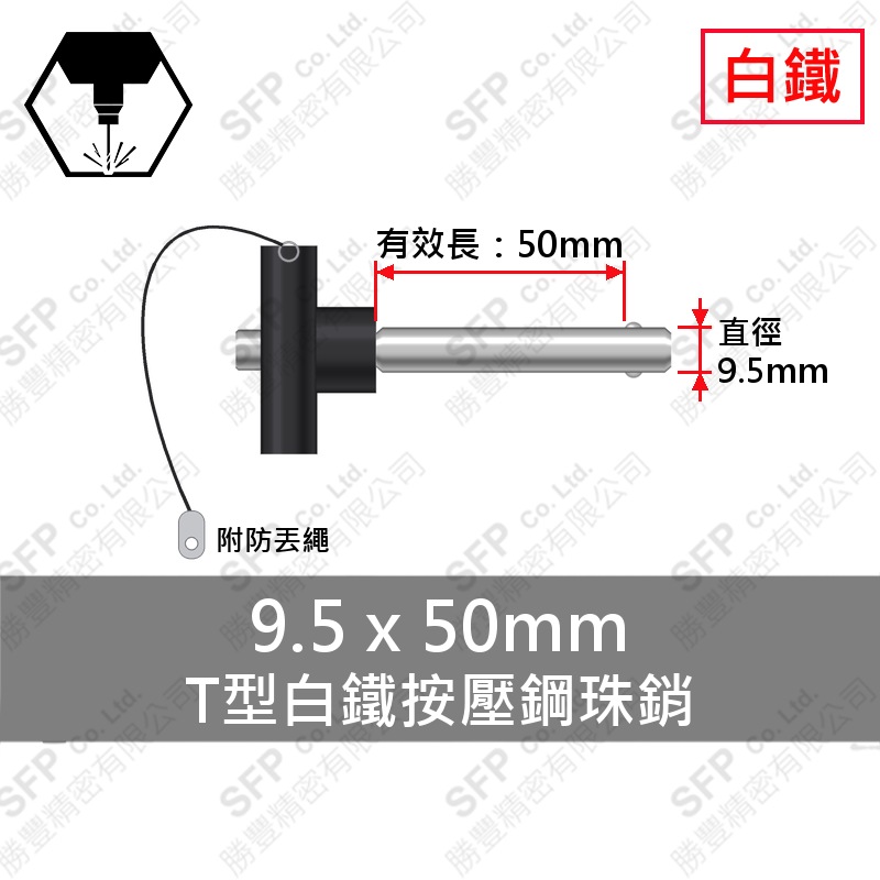 T型白鐵 按壓 鋼珠銷(附繩) 9.5*50 (有效長50)