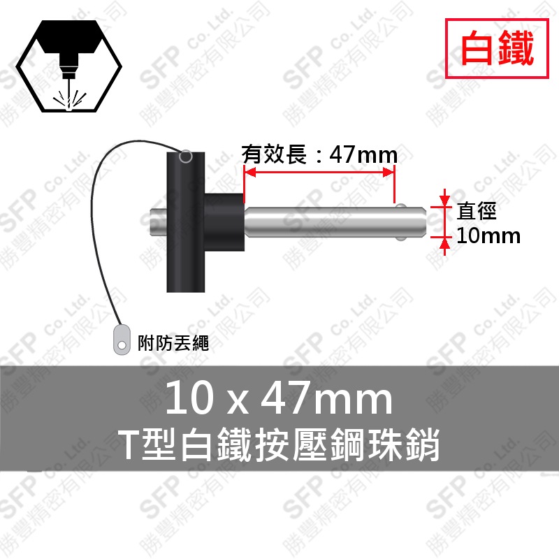 T型白鐵 按壓 鋼珠銷(附繩) 10*47 (有效長47)