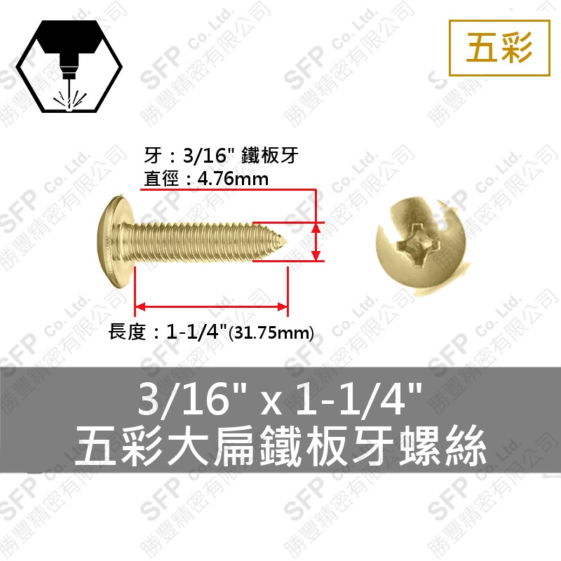 五彩大扁鐵板牙螺絲 3/16"*1-1/4"