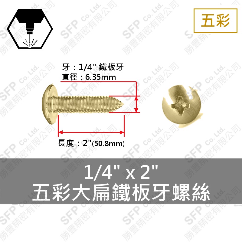 五彩大扁鐵板牙螺絲 1/4"*2"