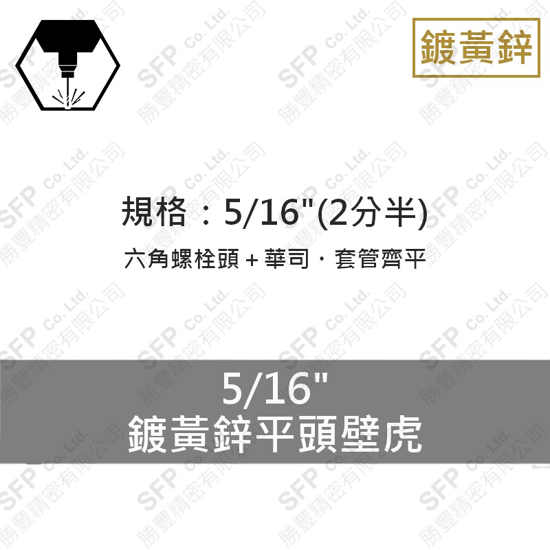 鍍黃鋅平頭壁虎 5/16"