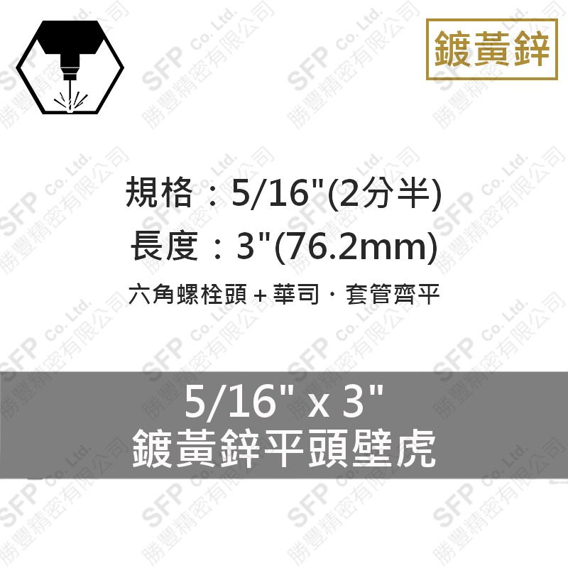 鍍黃鋅平頭壁虎 5/16"*3"
