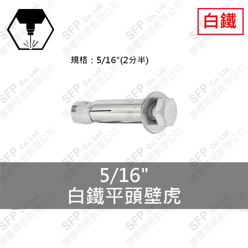 304白鐵平頭壁虎 5/16"