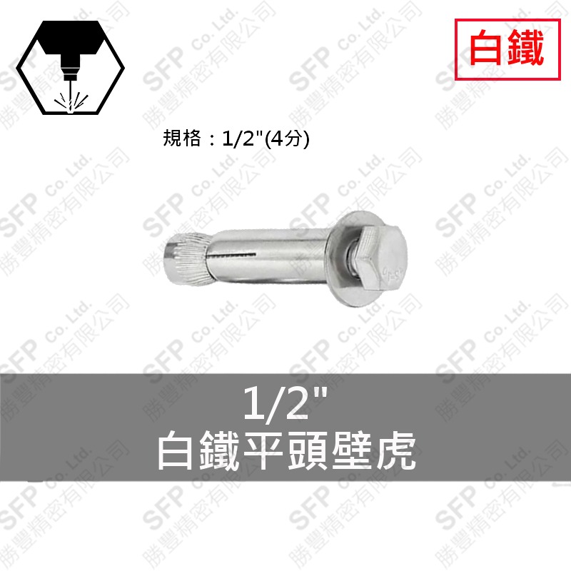 304白鐵平頭壁虎 1/2"