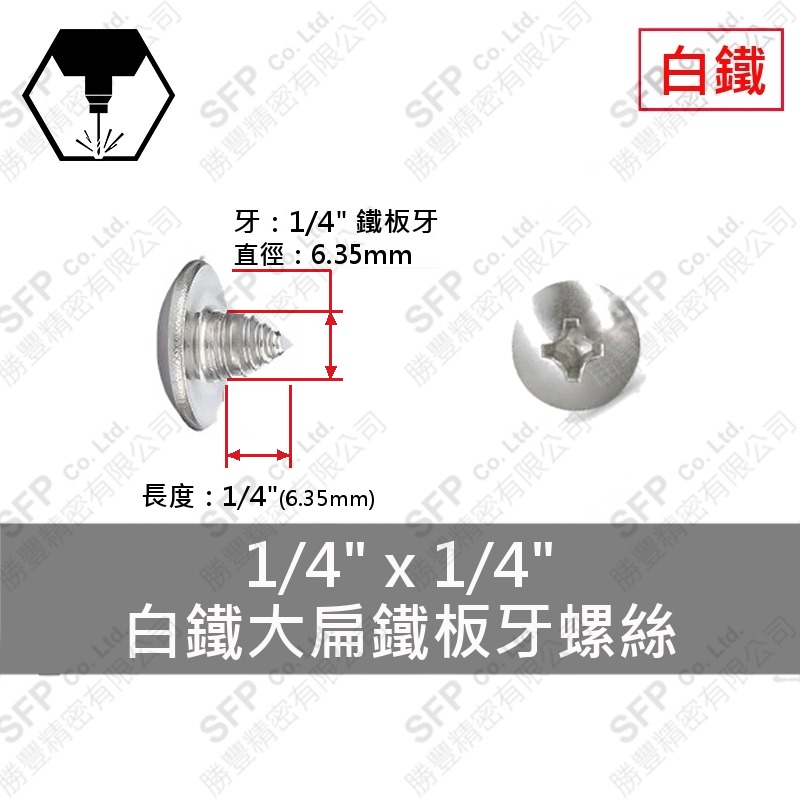 304白鐵大扁鐵板牙螺絲 1/4"*1/4" SUS304