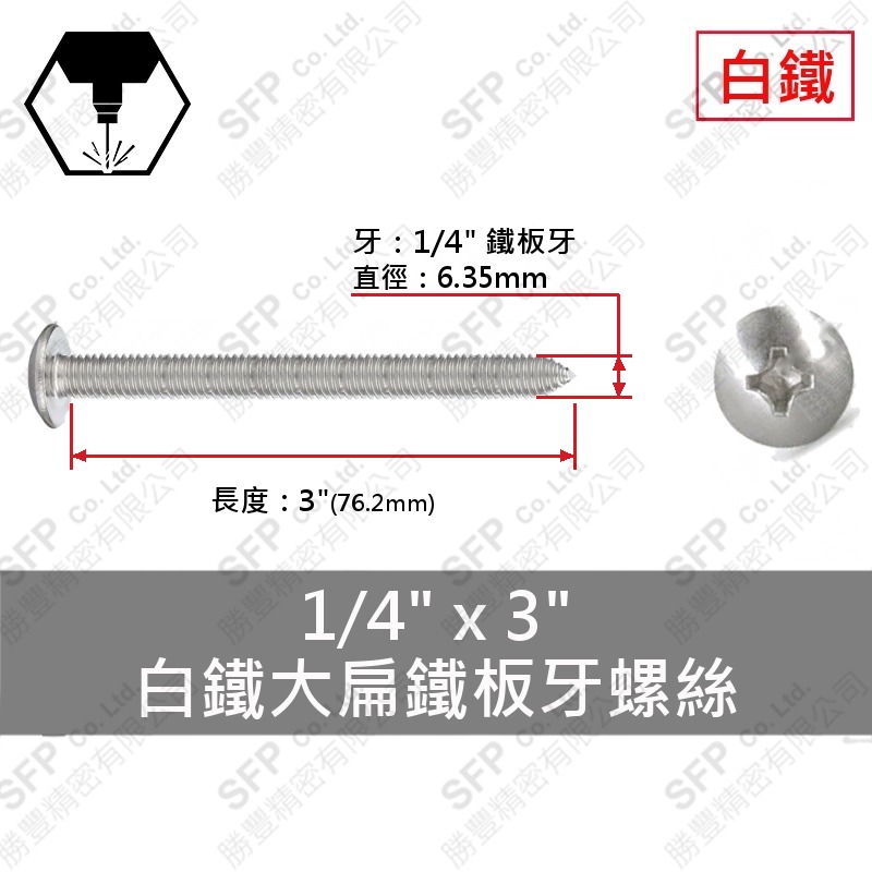 304白鐵大扁鐵板牙螺絲 1/4"*3" SUS304