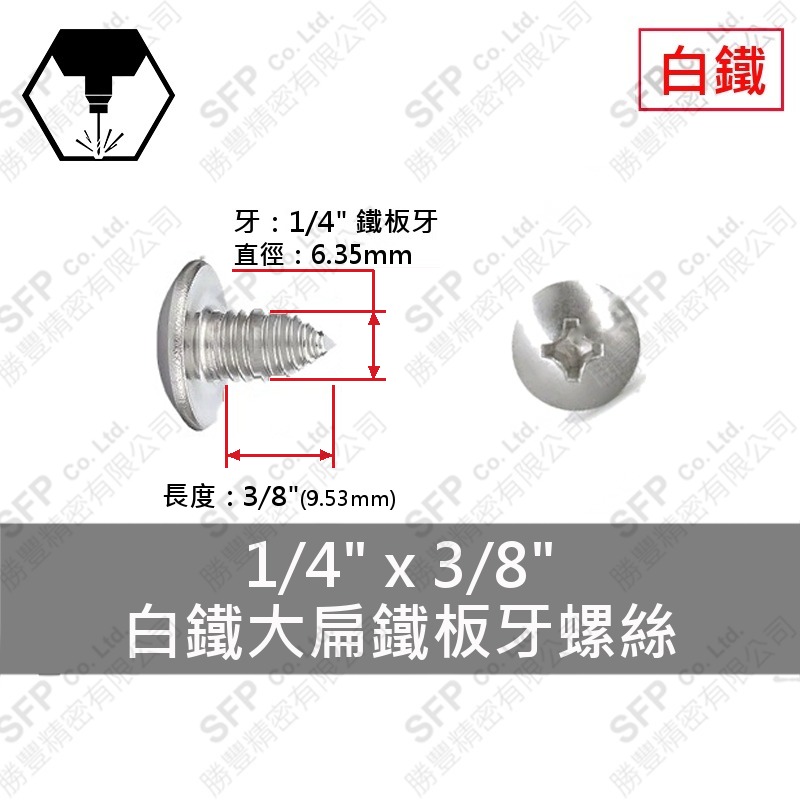 304白鐵大扁鐵板牙螺絲 1/4"*3/8" SUS304