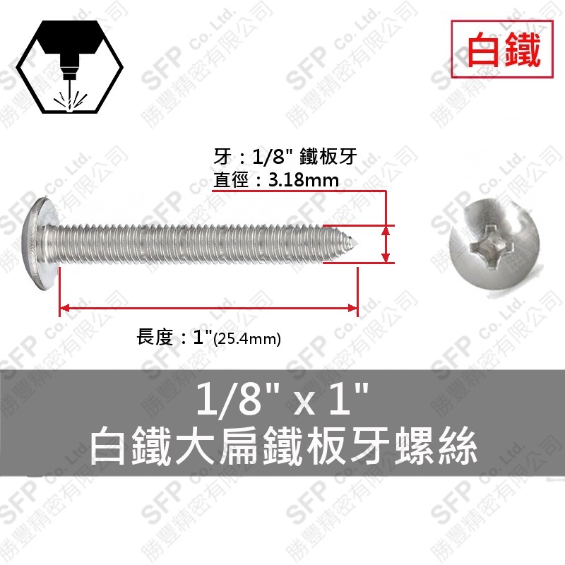 304白鐵大扁鐵板牙螺絲 1/8"*1" SUS304