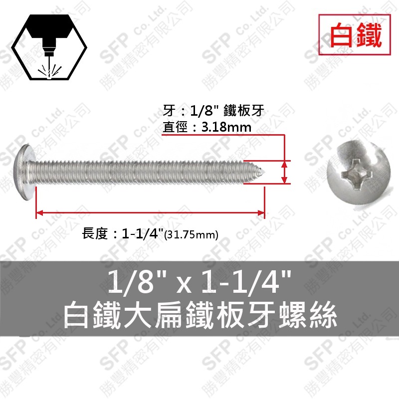 304白鐵大扁鐵板牙螺絲 1/8"*1-1/4" SUS304