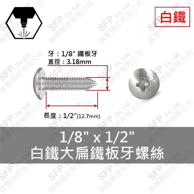 304白鐵大扁鐵板牙螺絲 1/8"*1/2" SUS304