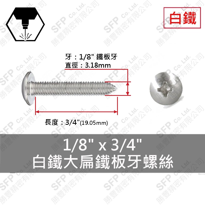304白鐵大扁鐵板牙螺絲 1/8"*3/4" SUS304