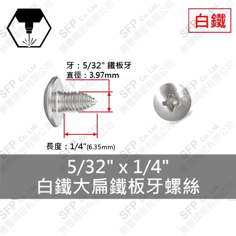 304白鐵大扁鐵板牙螺絲 5/32"*1/4" SUS304