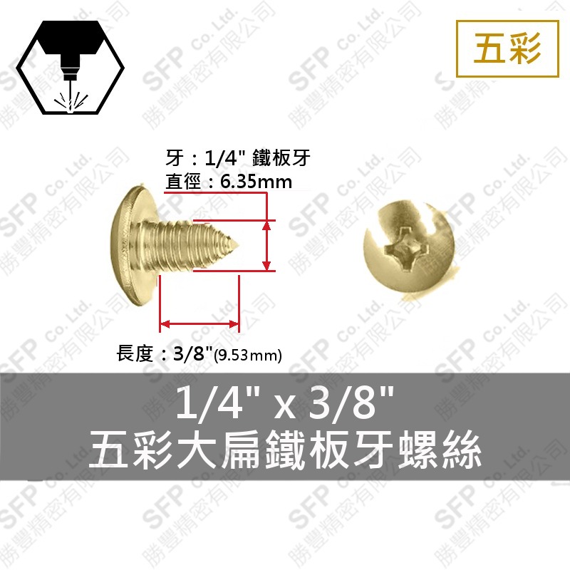 五彩大扁鐵板牙螺絲 1/4"*3/8"