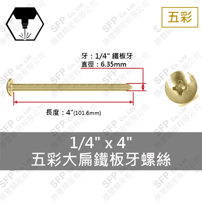 五彩大扁鐵板牙螺絲 1/4"*4"