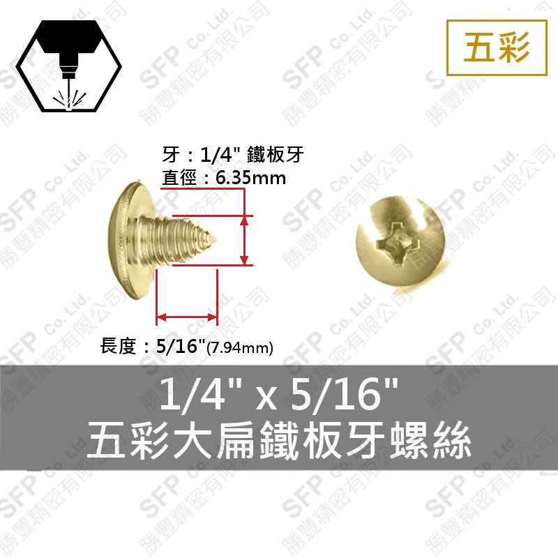 五彩大扁鐵板牙螺絲 1/4"*5/16"
