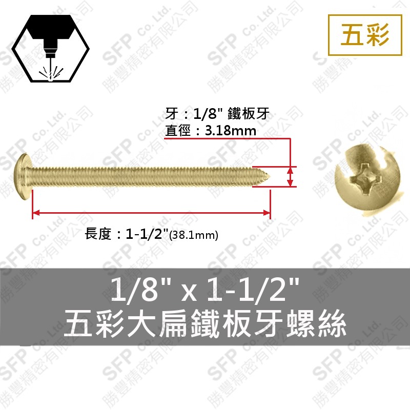 五彩大扁鐵板牙螺絲 1/8"*1-1/2"