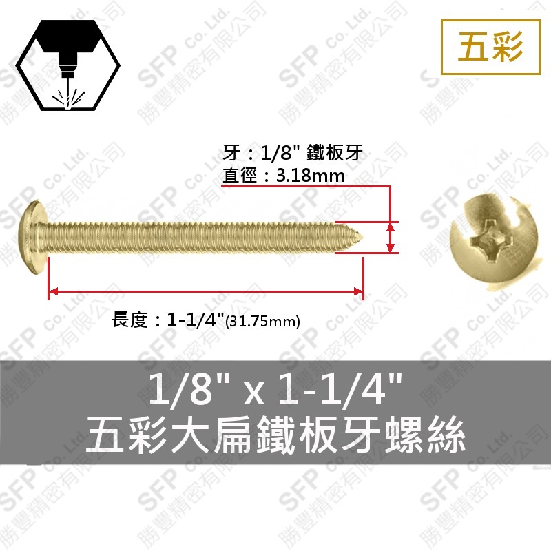 五彩大扁鐵板牙螺絲 1/8"*1-1/4"