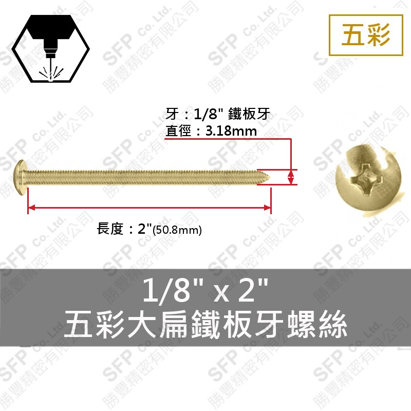 五彩大扁鐵板牙螺絲 1/8"*2"