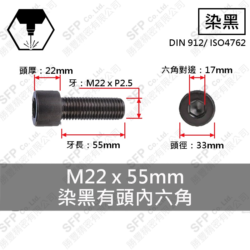 12.9合金鋼有頭內六角 M22*55
