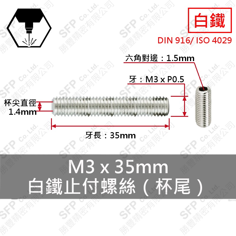 304白鐵止付螺絲(杯尾) M3*35 SUS304
