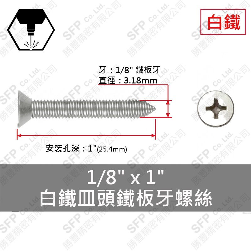 304白鐵皿頭鐵板牙螺絲 1/8"*1" SUS304