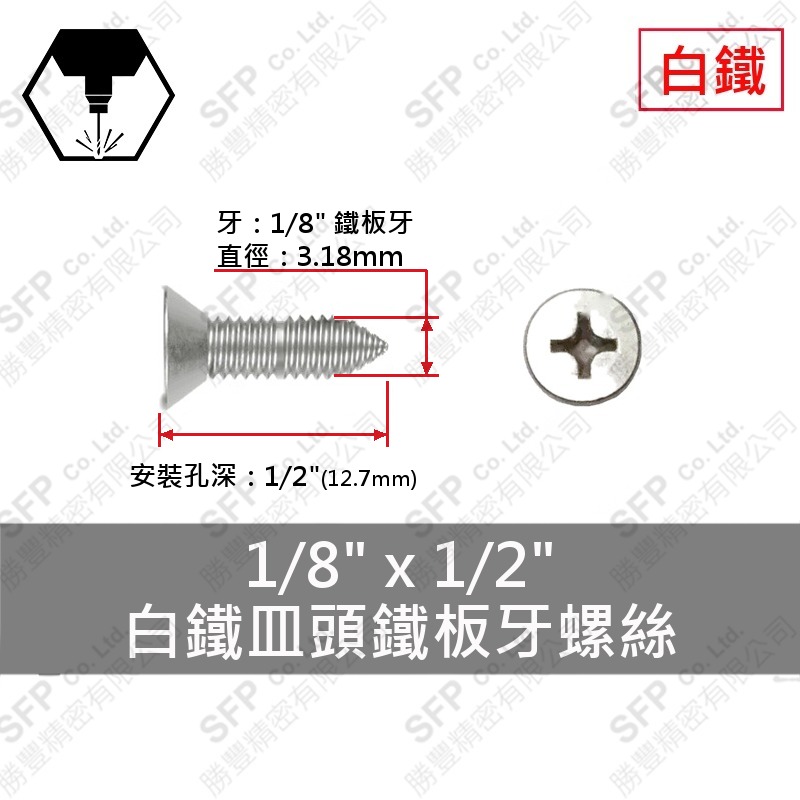 304白鐵皿頭鐵板牙螺絲 1/8"*1/2" SUS304