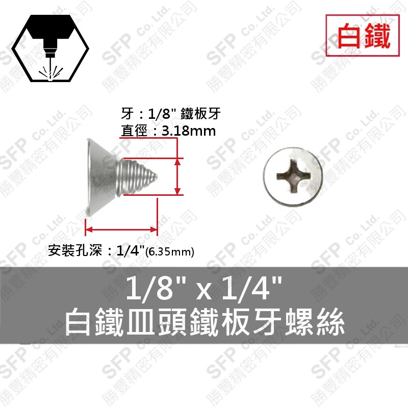 304白鐵皿頭鐵板牙螺絲 1/8"*1/4" SUS304