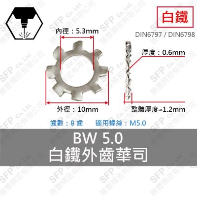 304白鐵外齒華司 BWS-5 (5.3*10*0.6)-10齒