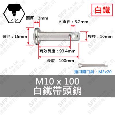 Stainless Steel Headed Pin